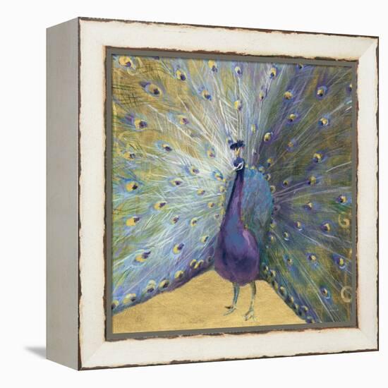 Purple and Gold Peacock-Danhui Nai-Framed Stretched Canvas