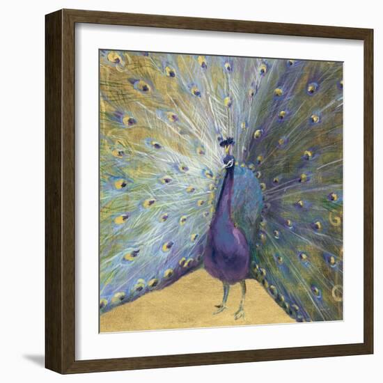 Purple and Gold Peacock-Danhui Nai-Framed Art Print