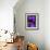 Purple and Grey Clematis-Heidi Bannon-Framed Photo displayed on a wall