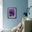 Purple and Grey Clematis-Heidi Bannon-Framed Photo displayed on a wall