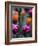 Purple and Orange Tulips-Katano Nicole-Framed Photo