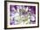 Purple and White Dahlia-George Johnson-Framed Photographic Print