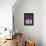 Purple and White Dance-Felix Podgurski-Framed Stretched Canvas displayed on a wall