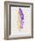 Purple and Yellow Feathers III-Hallie Clausen-Framed Art Print