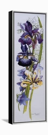 Purple and Yellow Irises with White and Mauve Campanulas,2013-Joan Thewsey-Framed Premier Image Canvas