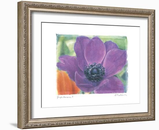 Purple Anemone I-Amy Melious-Framed Art Print