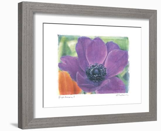 Purple Anemone I-Amy Melious-Framed Art Print