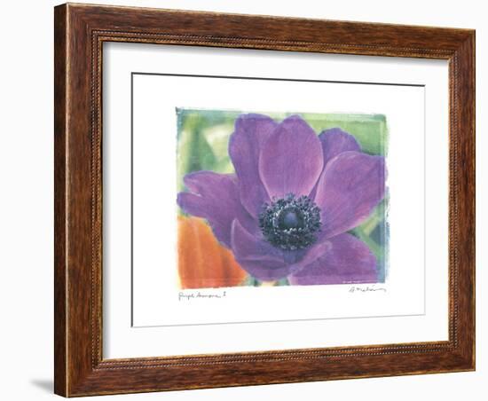 Purple Anemone I-Amy Melious-Framed Art Print