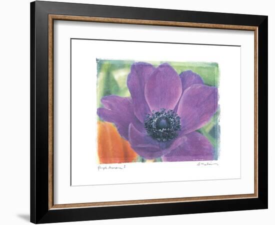 Purple Anemone I-Amy Melious-Framed Art Print