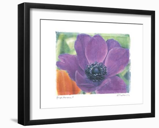 Purple Anemone I-Amy Melious-Framed Art Print