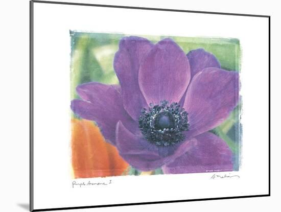 Purple Anemone I-Amy Melious-Mounted Art Print