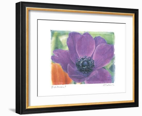 Purple Anemone I-Amy Melious-Framed Art Print