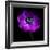 Purple Anemones Heart-Magda Indigo-Framed Photographic Print