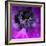 Purple Anemones-Magda Indigo-Framed Photographic Print