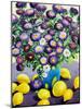 Purple Asters and Lemons-Christopher Ryland-Mounted Giclee Print