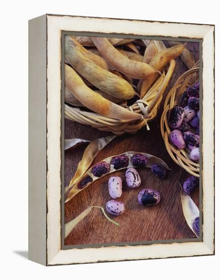 Purple Beans and Pods in Small Baskets-Vladimir Shulevsky-Framed Premier Image Canvas