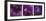 Purple Bearded Iris Triptych-Anna Miller-Framed Photographic Print