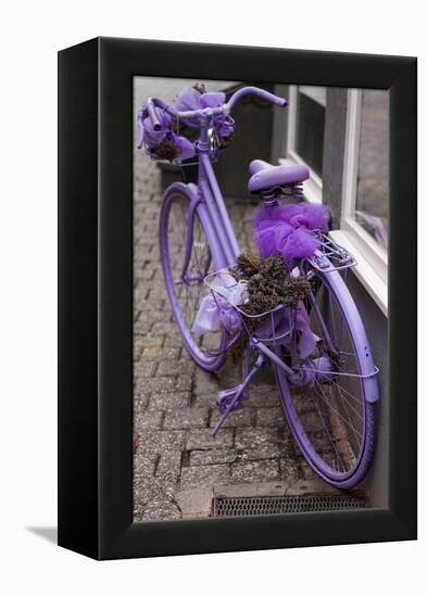 Purple bicycle on street, Limburg an der Lahn, Hesse, Germany-null-Framed Premier Image Canvas