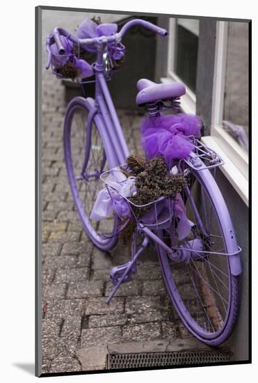 Purple bicycle on street, Limburg an der Lahn, Hesse, Germany-null-Mounted Photographic Print