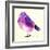 Purple Bird I-Patricia Pinto-Framed Art Print