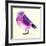 Purple Bird I-Patricia Pinto-Framed Art Print