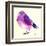 Purple Bird I-Patricia Pinto-Framed Art Print