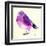 Purple Bird I-Patricia Pinto-Framed Art Print