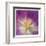 Purple Bloom-Kimberly Allen-Framed Art Print