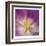 Purple Bloom-Kimberly Allen-Framed Art Print