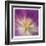 Purple Bloom-Kimberly Allen-Framed Art Print