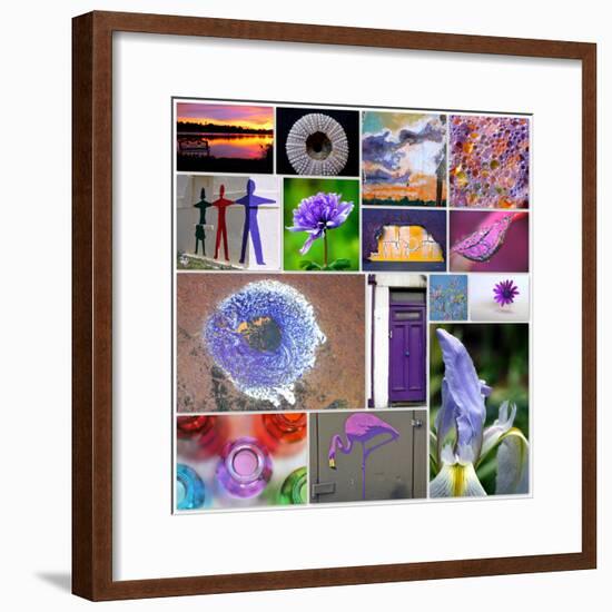 Purple Blossom Collage-Gail Peck-Framed Photo