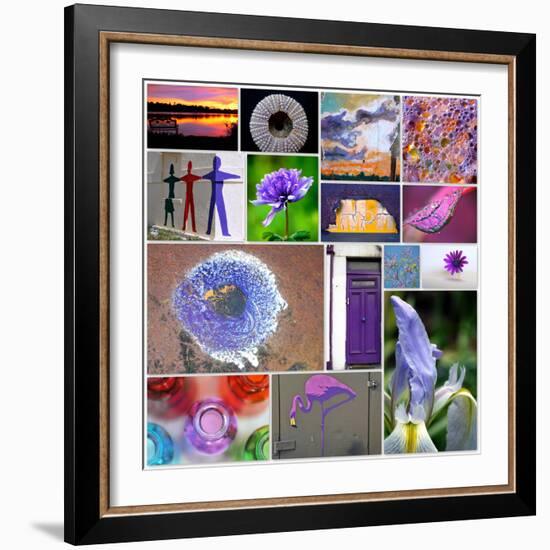 Purple Blossom Collage-Gail Peck-Framed Photo