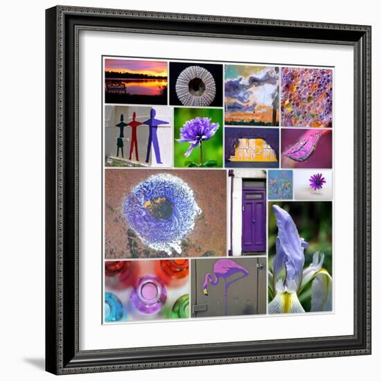 Purple Blossom Collage-Gail Peck-Framed Photo