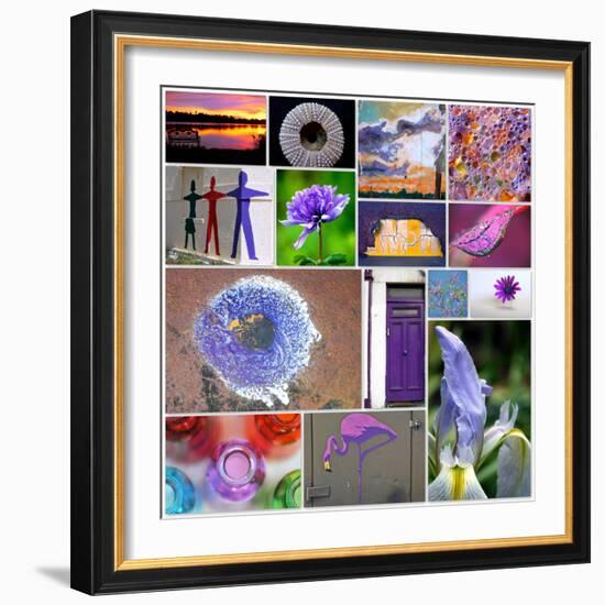 Purple Blossom Collage-Gail Peck-Framed Photo
