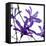 Purple Blossom-null-Framed Premier Image Canvas