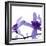 Purple Blossom-null-Framed Photographic Print