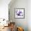 Purple Blossom-null-Framed Photographic Print displayed on a wall