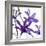 Purple Blossom-null-Framed Photographic Print