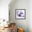 Purple Blossom-null-Framed Photographic Print displayed on a wall