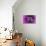 Purple Burlap-Tom Kelly-Mounted Giclee Print displayed on a wall