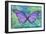 Purple Buterfly-Cora Niele-Framed Giclee Print