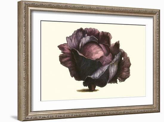 Purple Cabbage-Philippe-Victoire Leveque de Vilmorin-Framed Art Print