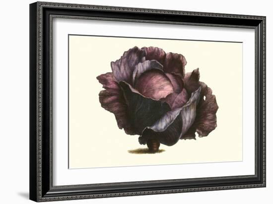 Purple Cabbage-Philippe-Victoire Leveque de Vilmorin-Framed Art Print