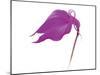 Purple Calla Lily-null-Mounted Art Print
