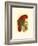 Purple-Capped Lory-null-Framed Art Print