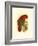 Purple-Capped Lory-null-Framed Art Print