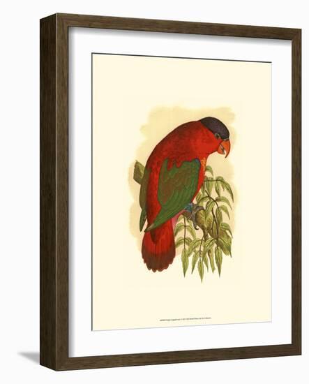 Purple-Capped Lory-null-Framed Art Print