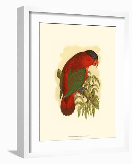 Purple-Capped Lory-null-Framed Art Print