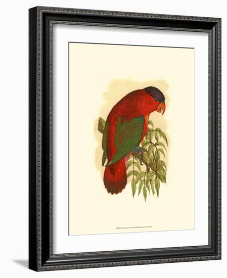 Purple-Capped Lory-null-Framed Art Print