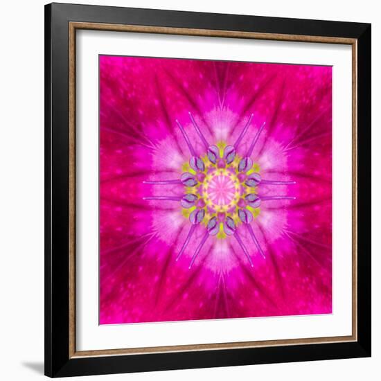 Purple Concentric Flower Center: Mandala Kaleidoscopic Design-tr3gi-Framed Premium Giclee Print